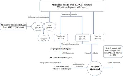 Identification of Early Recurrence Factors in Childhood and Adolescent B-Cell Acute Lymphoblastic Leukemia Based on Integrated Bioinformatics Analysis